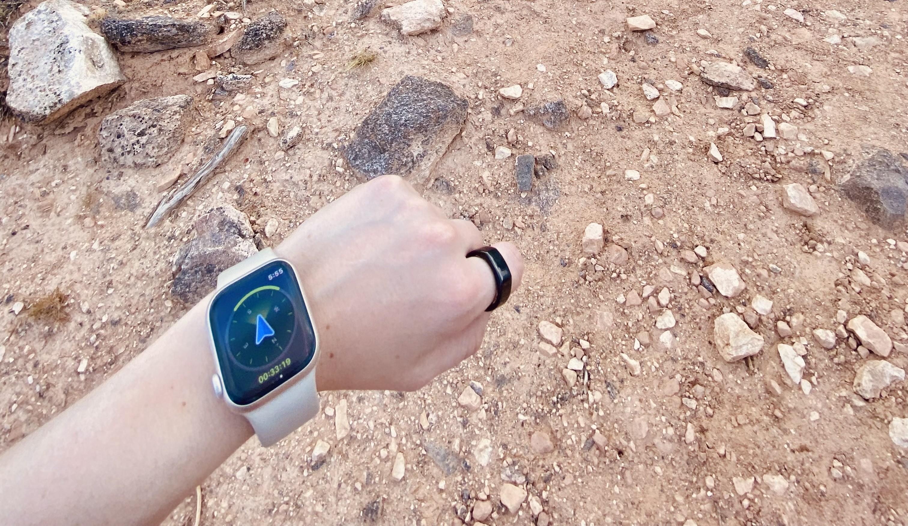 Wearables since 2019